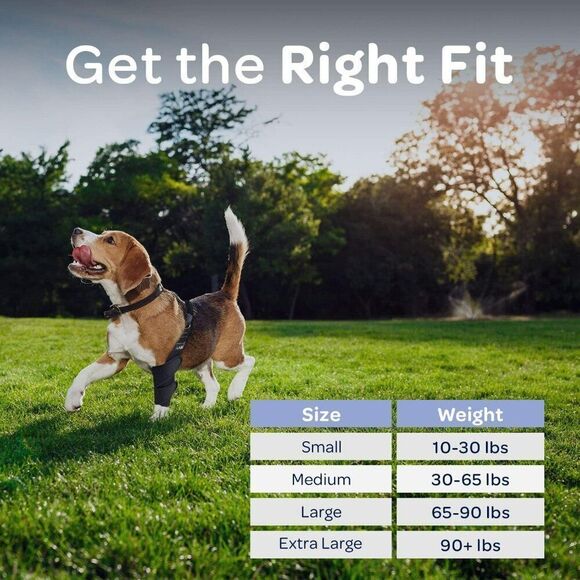 Labra Dog Canine K9 Shoulder Elbow Callus Pain Relief Brace Wrap Sz M Right Leg - Picture 6 of 8